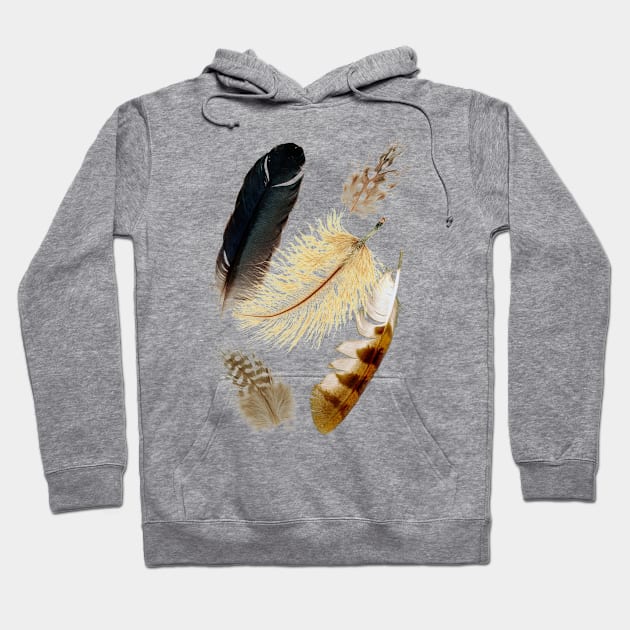 Brown feathers Hoodie by TheBlackCatprints